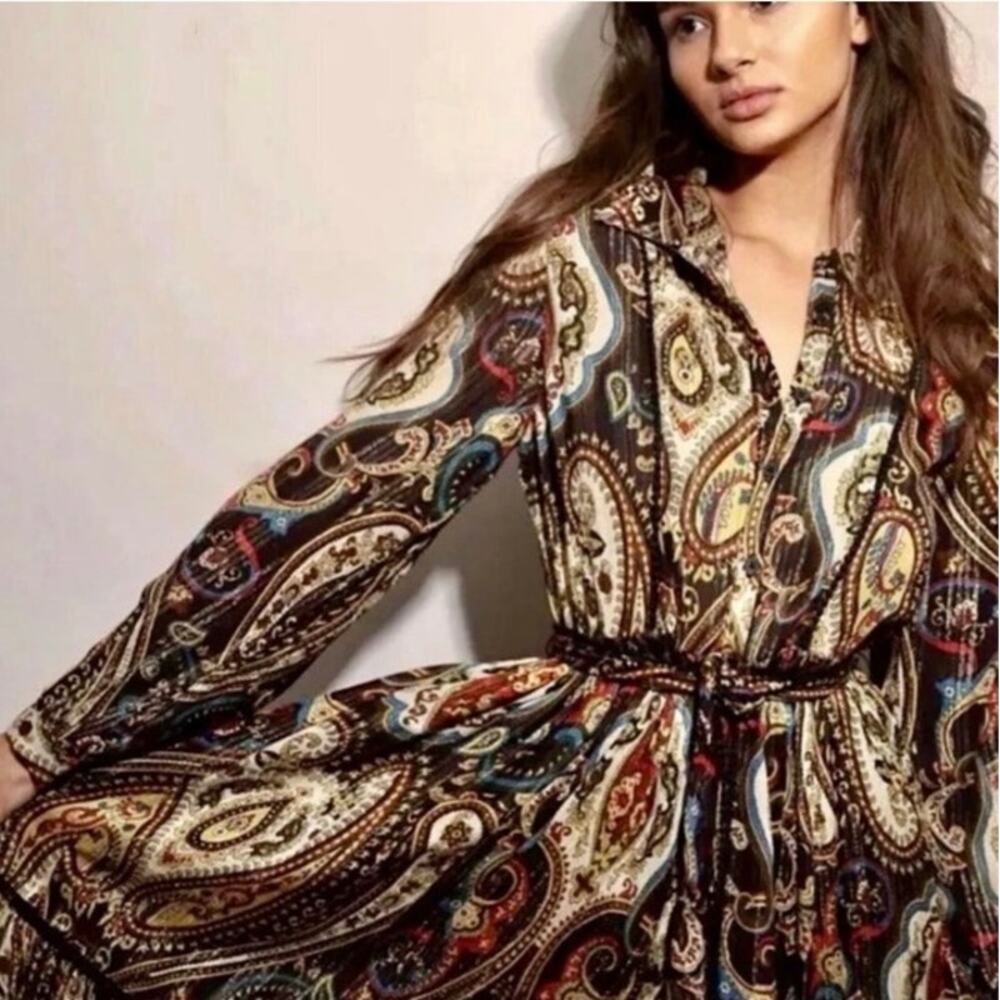 Zara The Alabama Dress Multicolor Paisley Long Sleeve Metallic Woven Size M